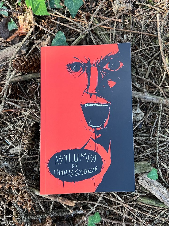 'Asylum(s)' - SIGNED paperback product image (1)