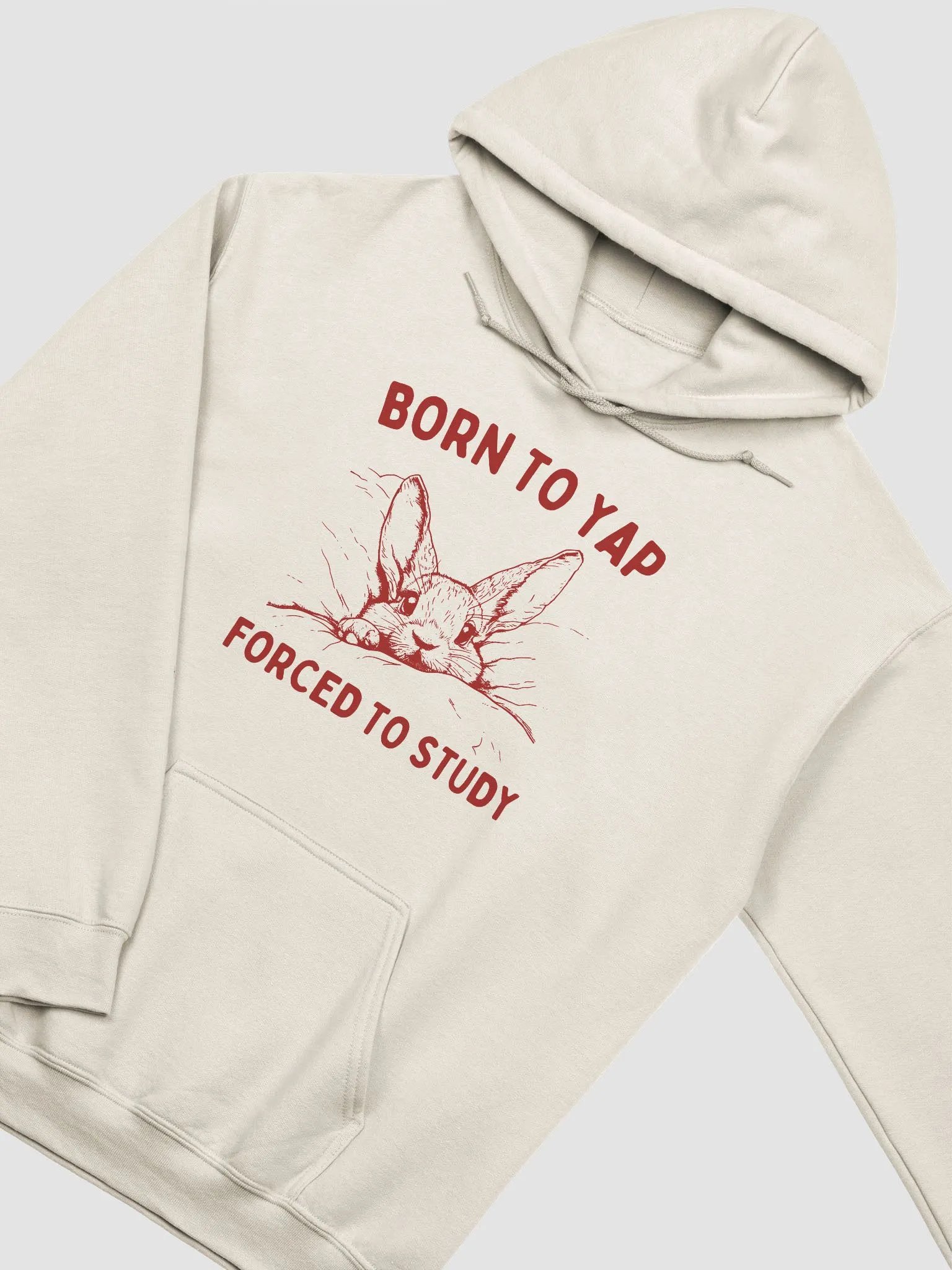 Born to yap forced to study Hoodie product image (2)