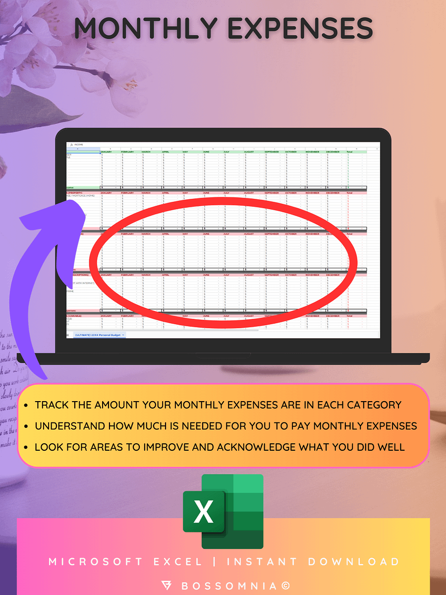 [Microsoft Excel] (ULTIMATE) Financial Budgeting Spreadsheet product image (3)