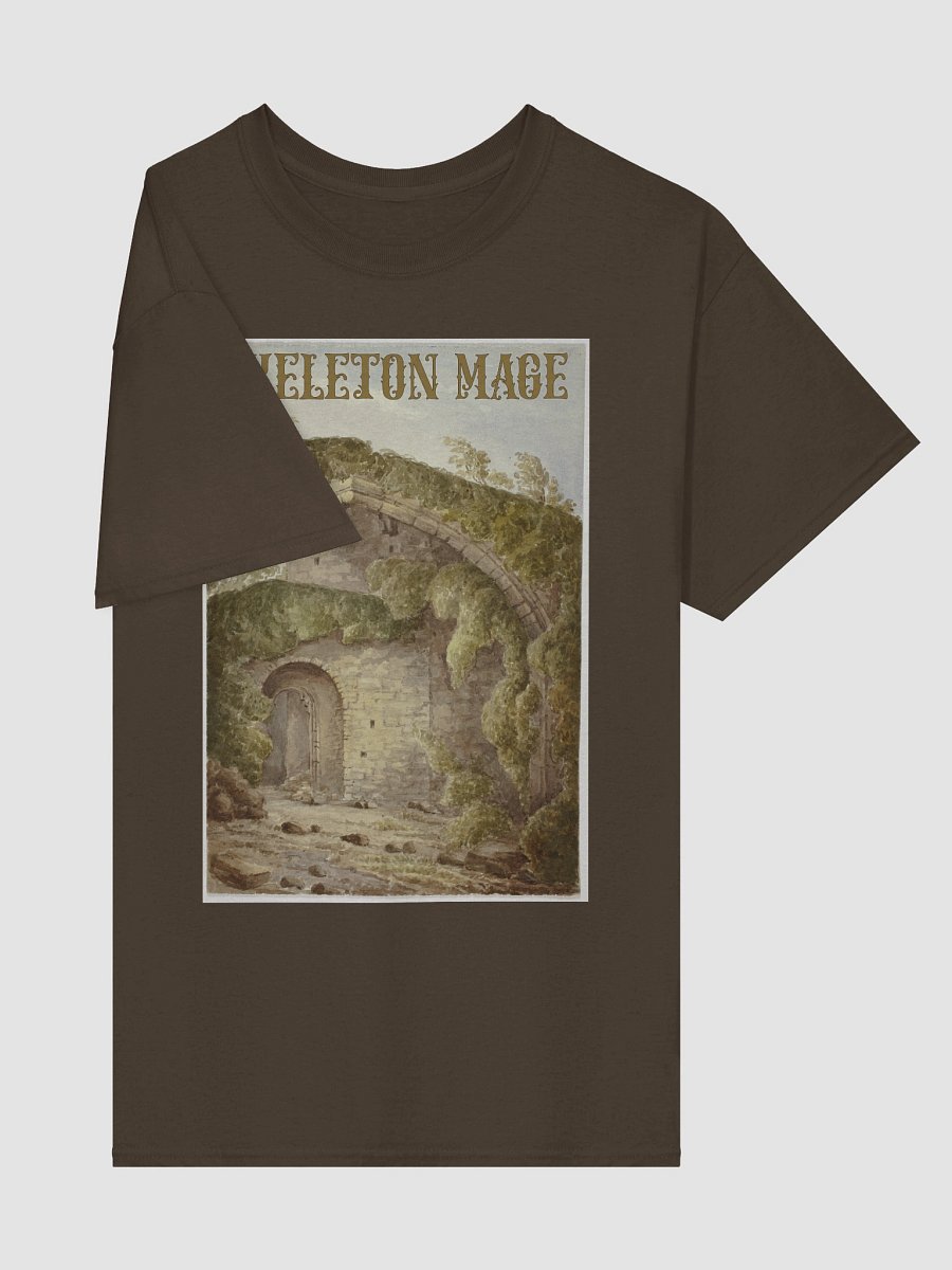 Of Mossy Ruins and Forest Paths T-shirt product image (16)