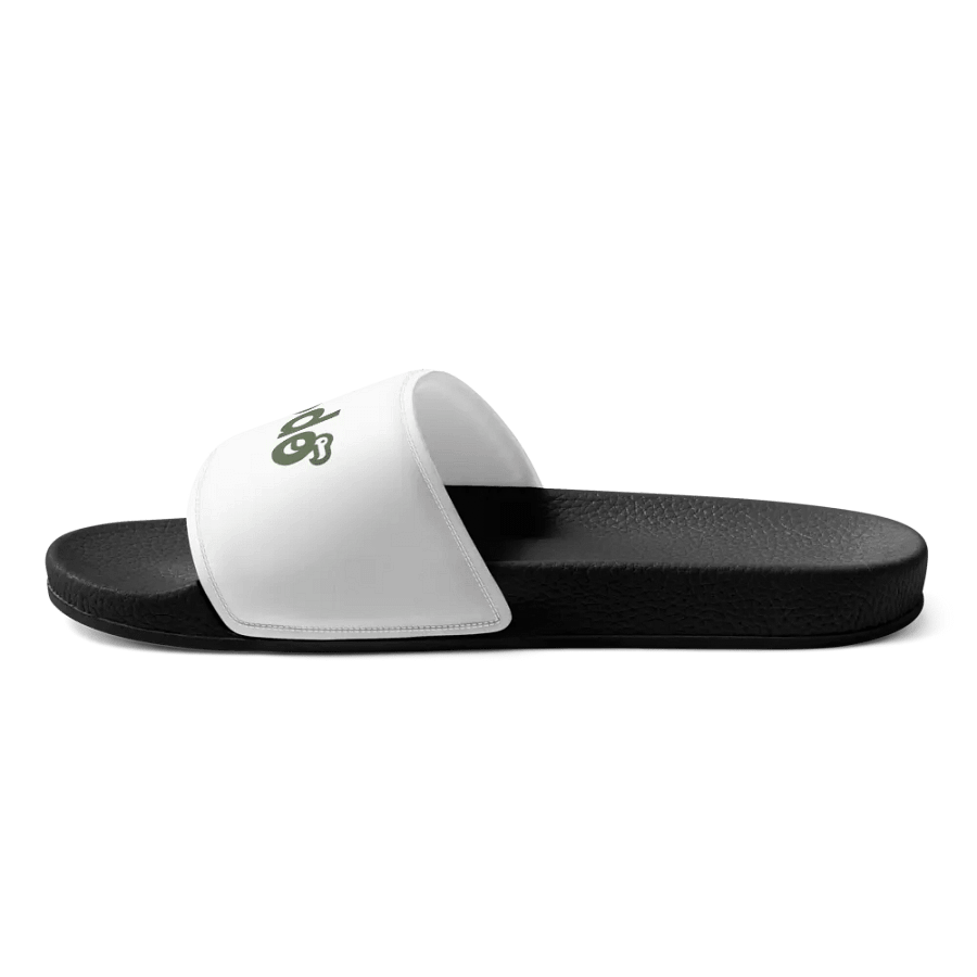 Dodo Slides product image (8)
