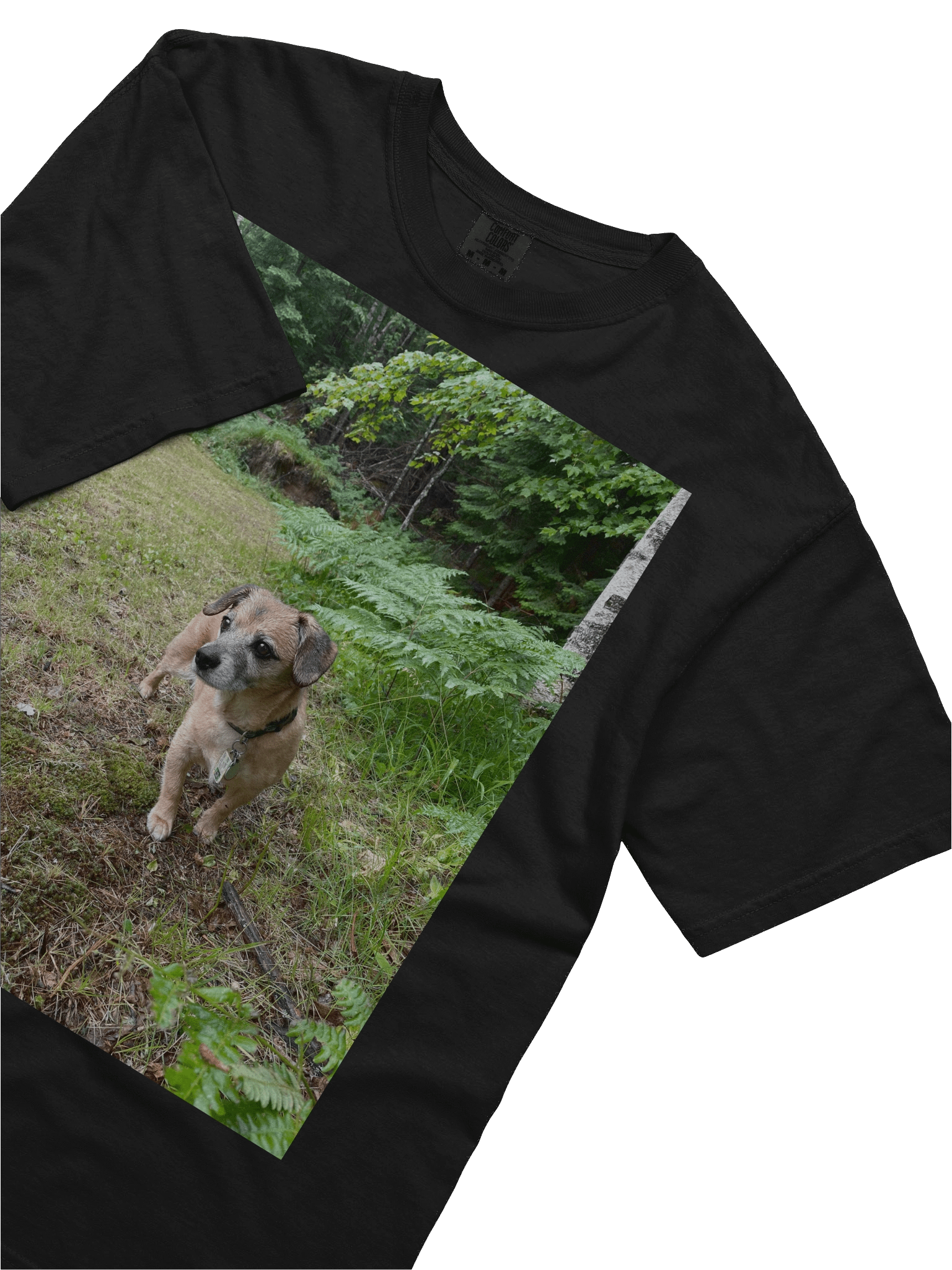Forest Rocky Tee product image (32)