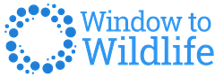 WindowtoWildlife