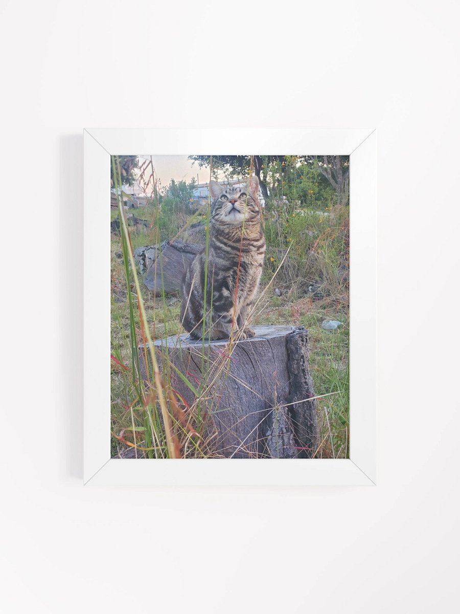 A Cat Named Purrsie Framed Matte Poster product image (12)