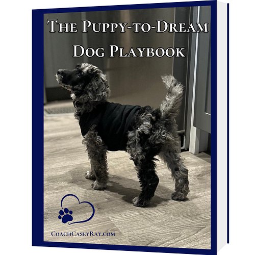 The Puppy-to-Dream Dog Playbook

12 Quick-Read Guides to Build the Foundation of Your Dream Dog

Stop piecing together random...