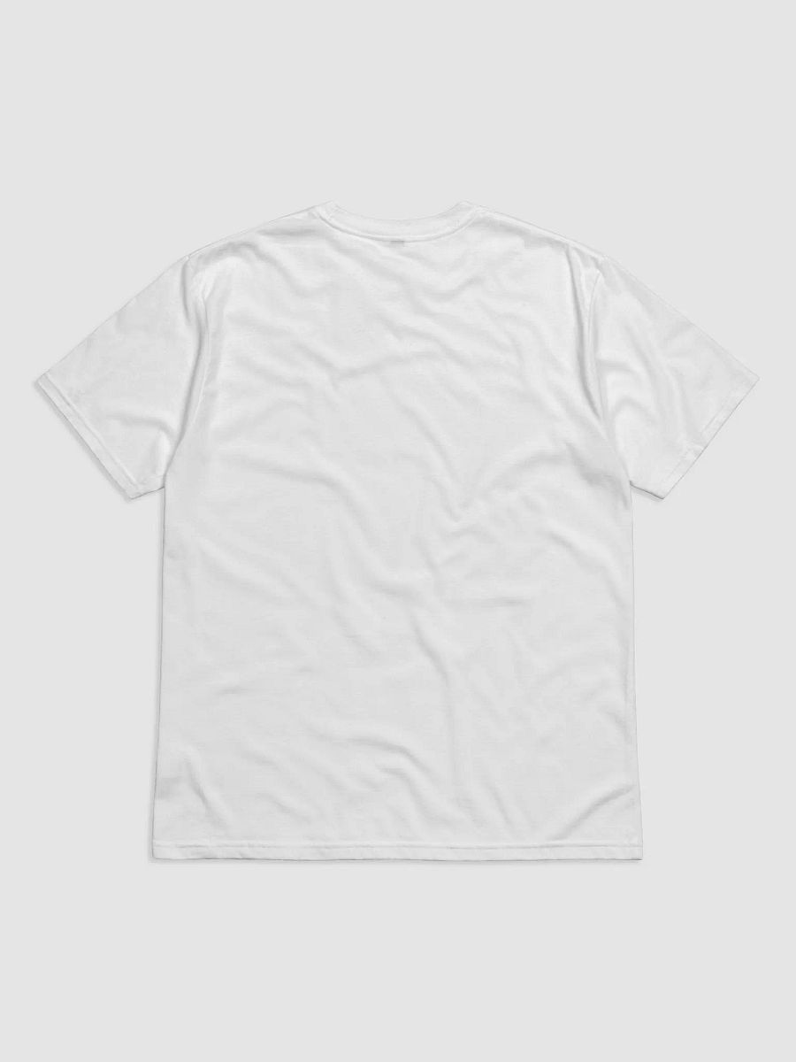 OVERSTIMULATED BOY SUMMER black eco tee product image (6)