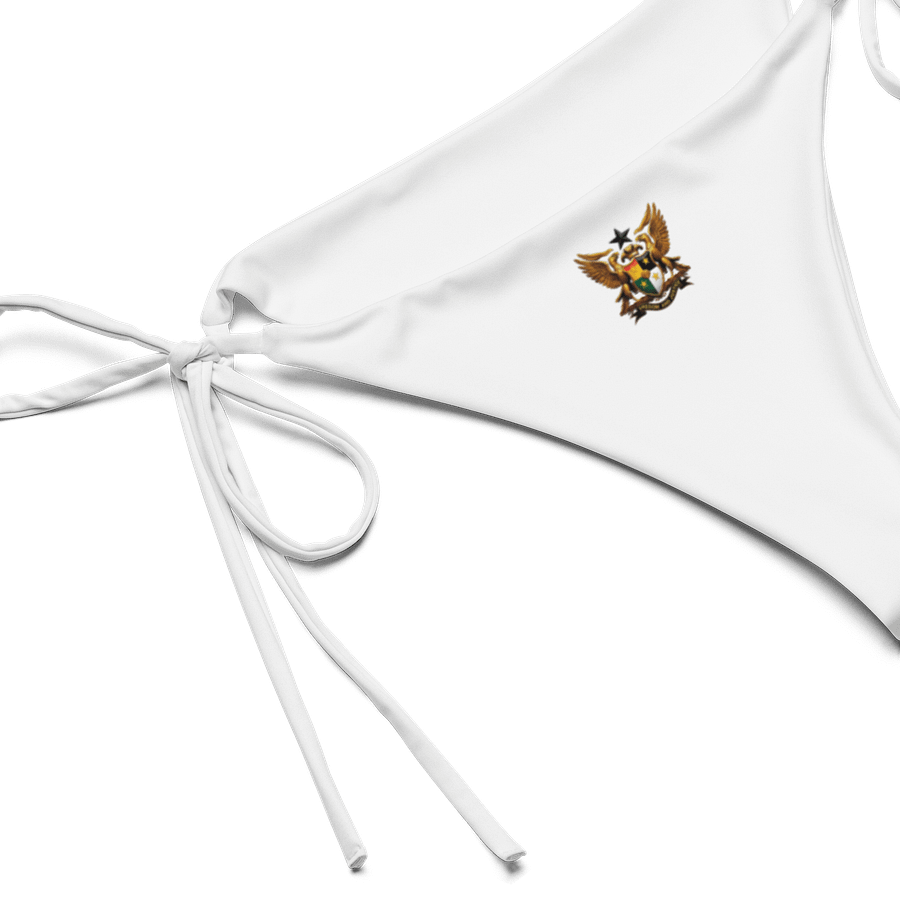 Eagle Crest Recycled Bikini Bottom product image (3)