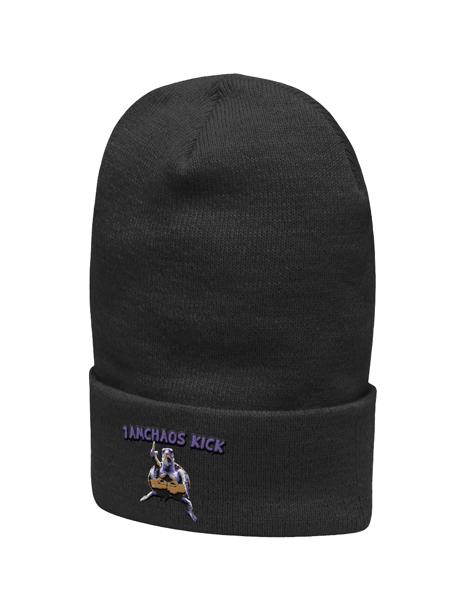 Chaos Kick Turtle Power Beanie product image (15)