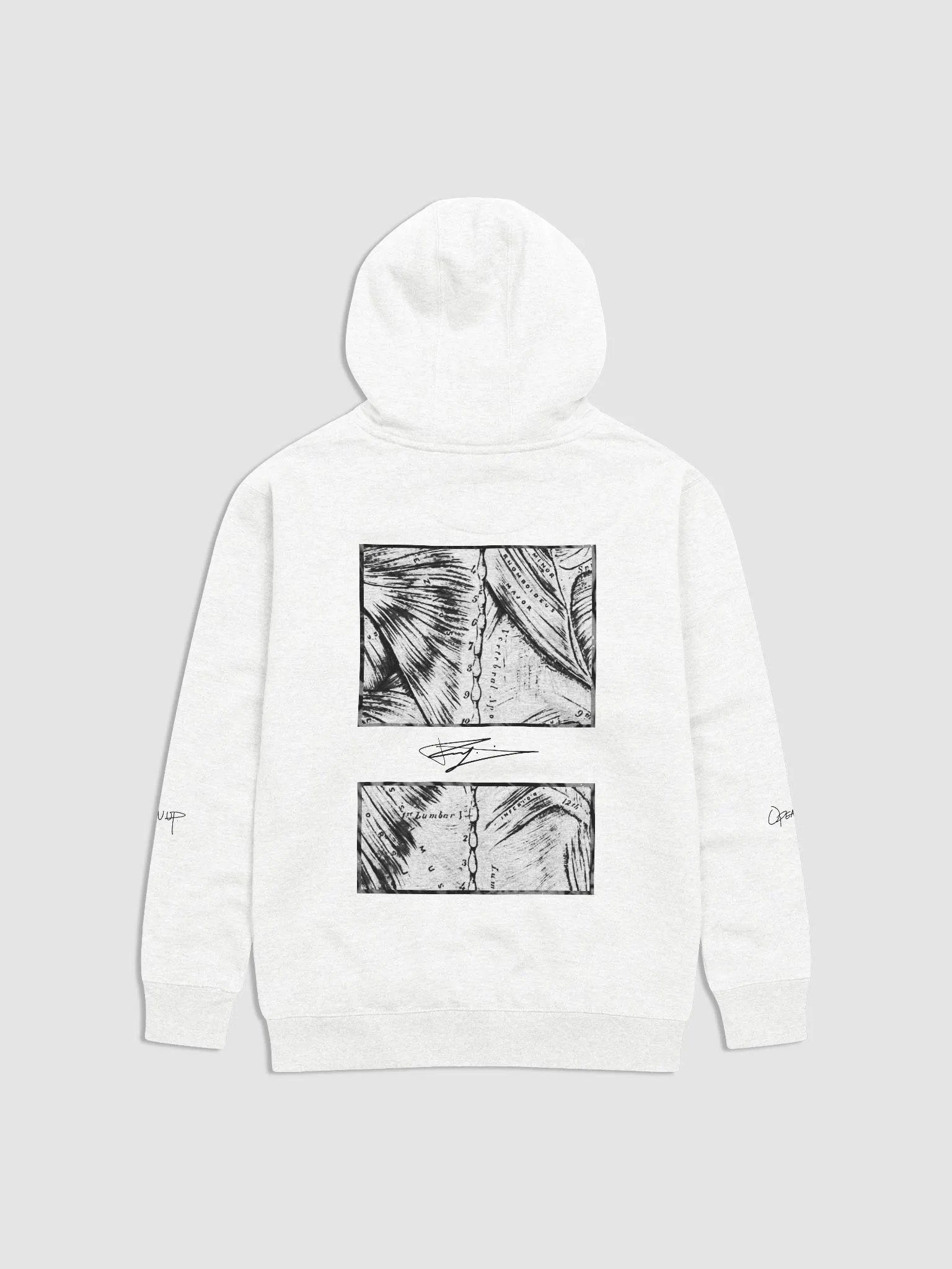 OPEN UP HOODIE - LIGHT product image (3)