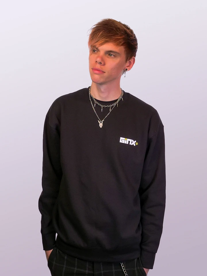 GINX+ Sweatshirt (Printed Logo) product image (2)