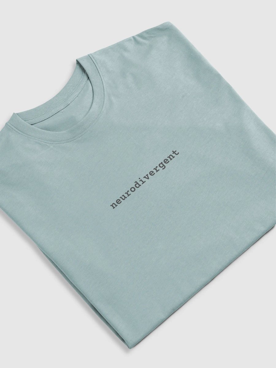 Neurodivergent Premium Heavyweight Tee product image (5)