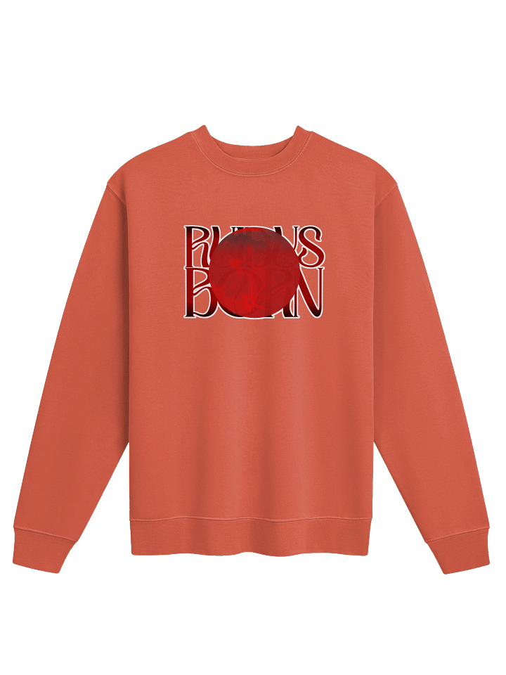 Ruidus Born - Sweatshirt product image (2)