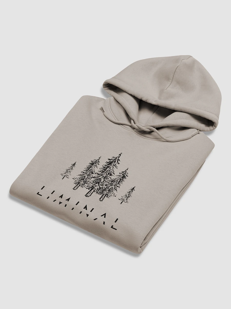 LIMINAL Eco-Friendly Hoodie product image (5)