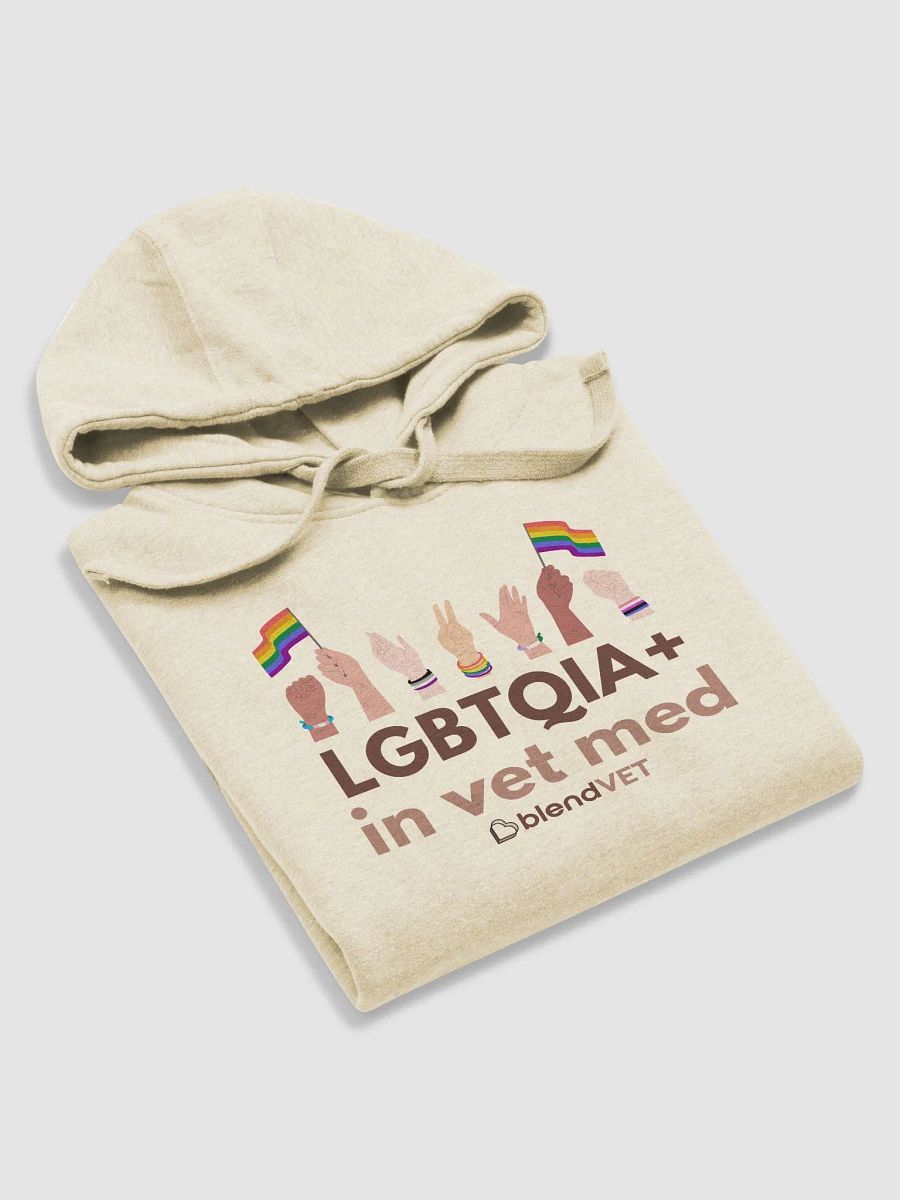 LGBTQIA+ in Vet Med Hoodie product image (5)