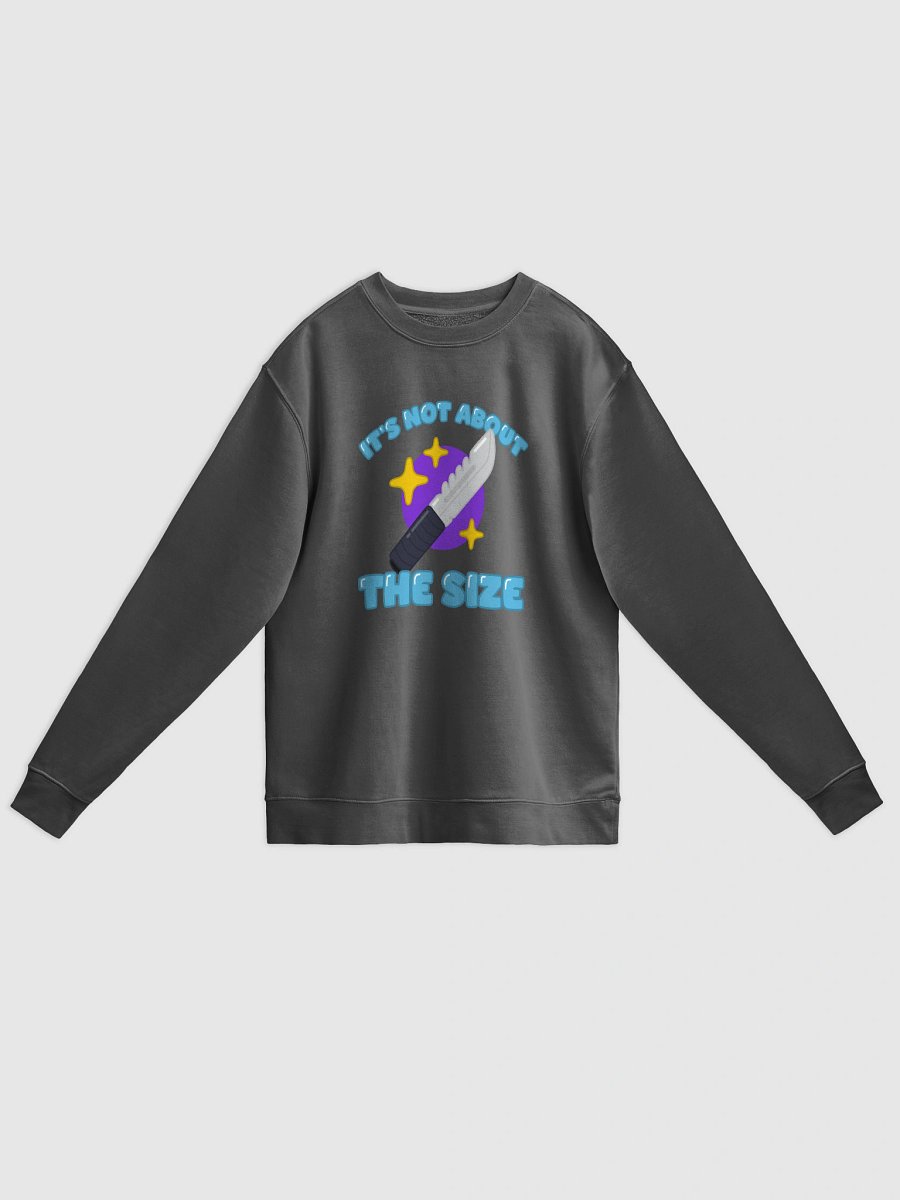 It's Not About the Size Sweatshirt product image (5)
