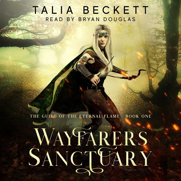 Wayfarer's Sanctuary - Audio MP3 product image (1)