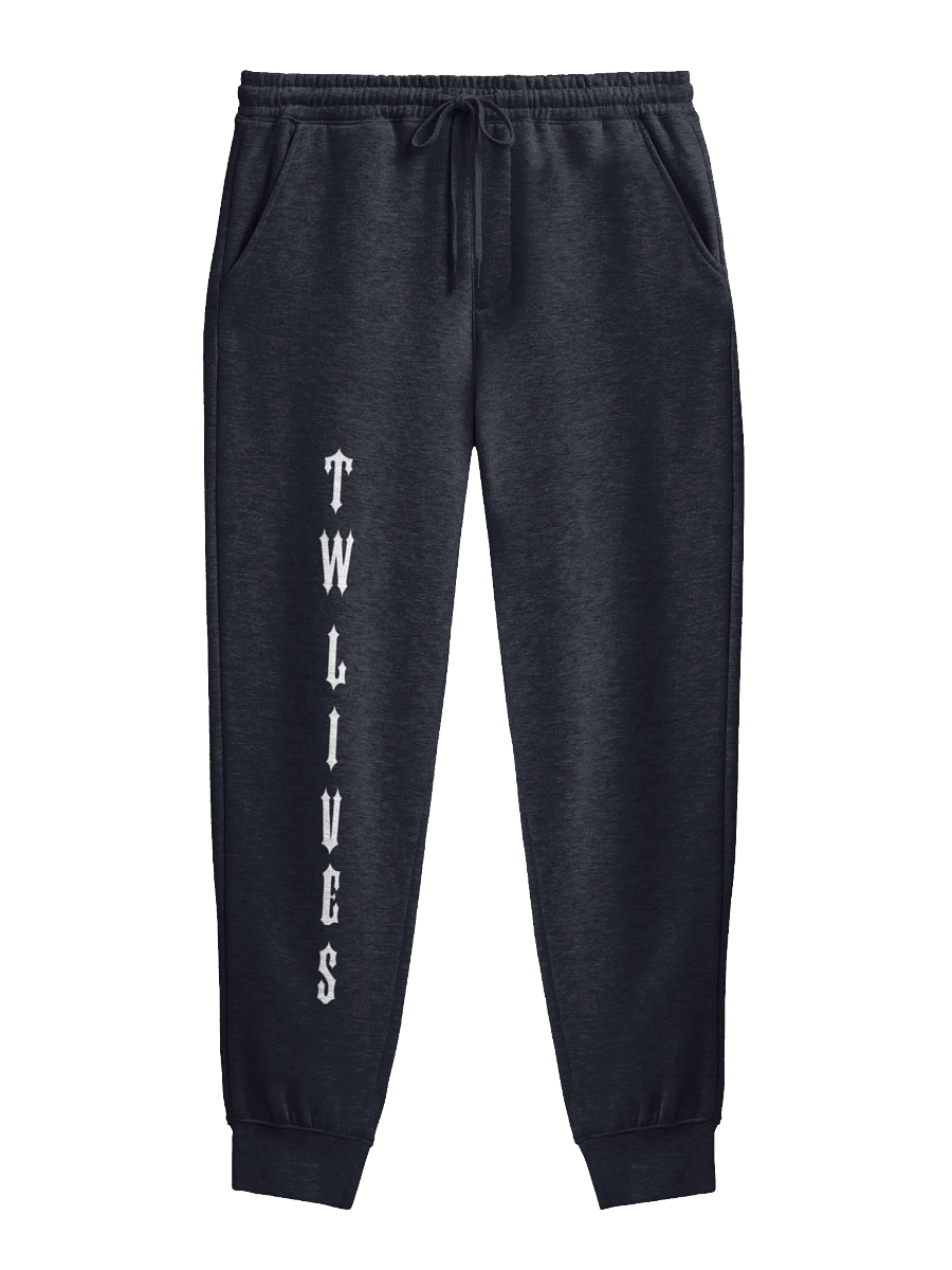 TW LIVES Fleece Joggers product image (3)