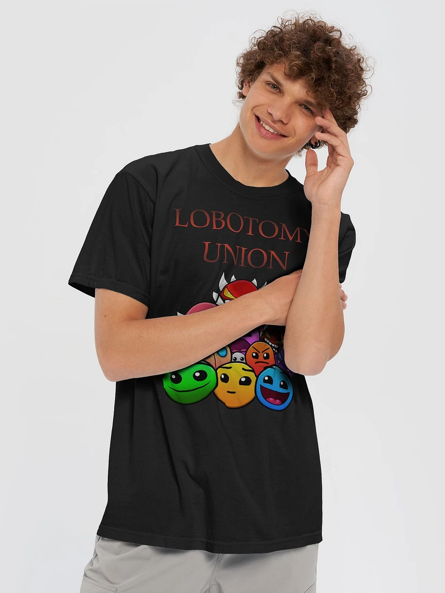 LOBOTOMY UNION HEAVYWEIGHT T-SHIRT product image (37)