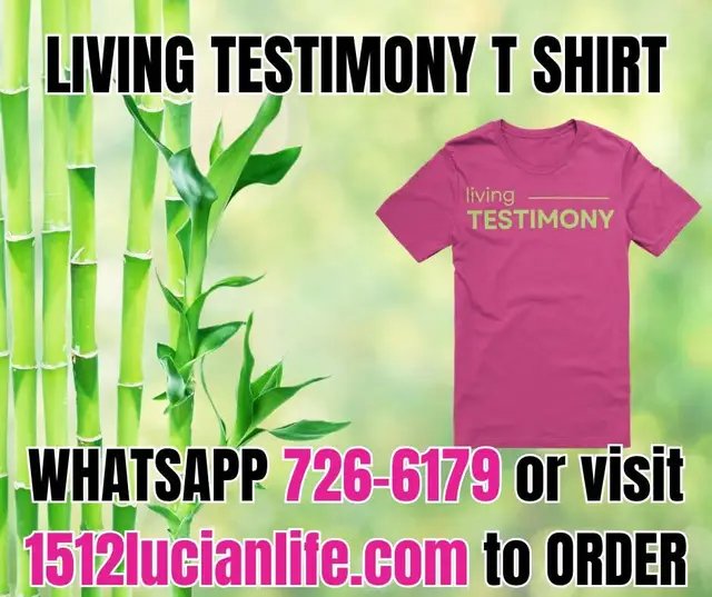 ✨ More than a shirt — it’s your story. Bold. Faith-filled. Unapologetic. Wear it loud: Living Testimony. 🛒 Available now for those who know they’ve made it through for a reason. TO ORDER- Whatsapp 726-6179 or visit https://1512lucianlife.com/products/living-testimony-graphic-tee #LivingTestimony #FaithFashion #WornWithPurpose #TestifyThroughStyle #LoveWins #SpreadLove #LivingTestimony 