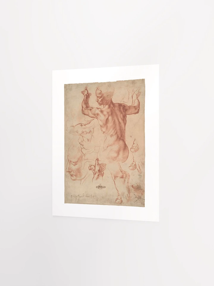 Studies for the Libyan Sibyl by Michelangelo (c. 1510-1511) - Print product image (2)