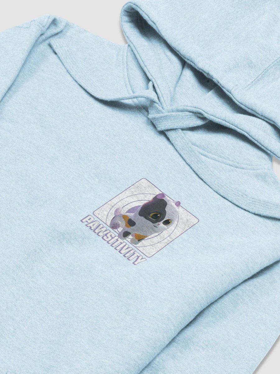 Pawsitivity Hoodie product image (5)