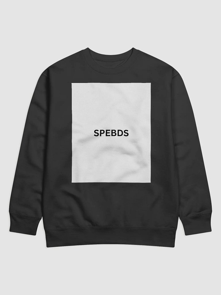 A SPEBDS SWEATER product image (1)
