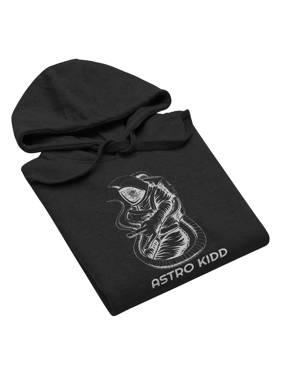 ASTRO KIDD Premium Hoodie product image (25)