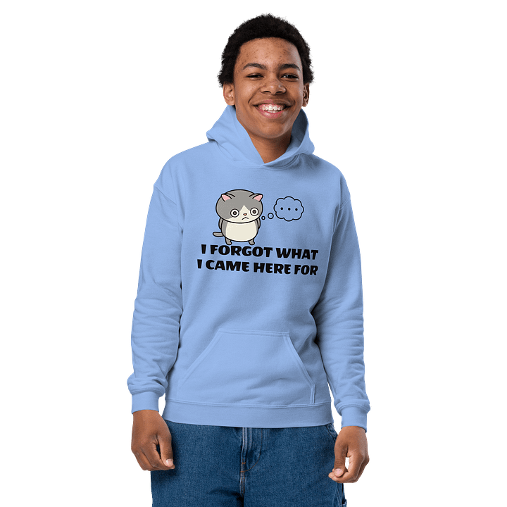 Short-term Memory Loss - Unisex Youth Hoodie product image (2)