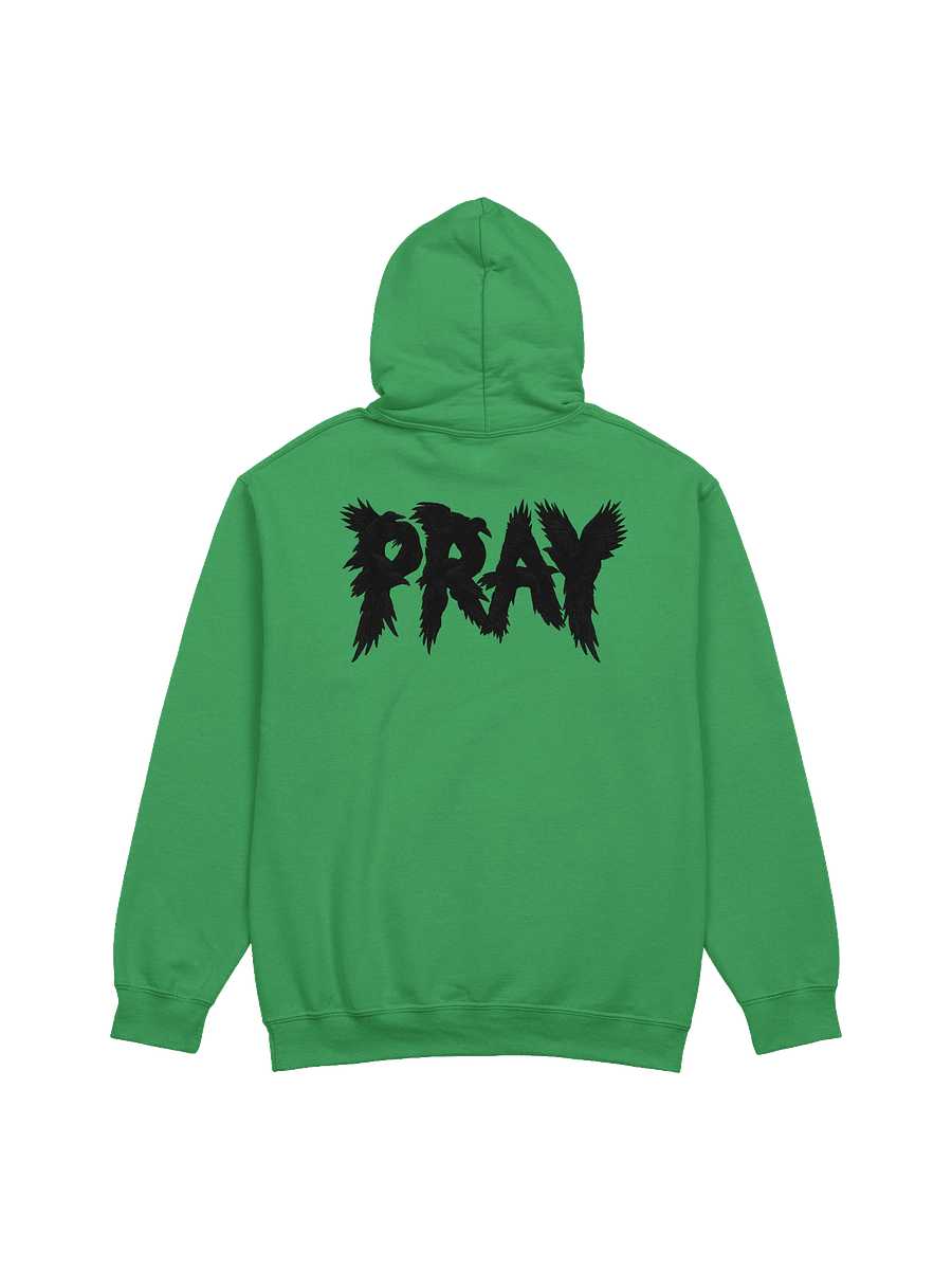 Birds Of Pray Hoodie product image (1)