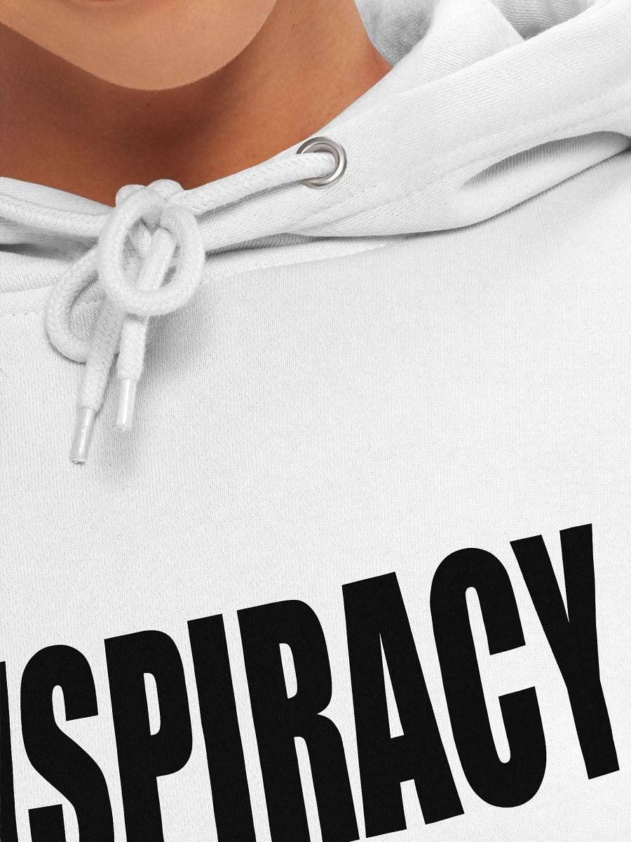 Conspiracy Leads To Spirituality - Lane Seven Premium Pullover Hoodie product image (7)
