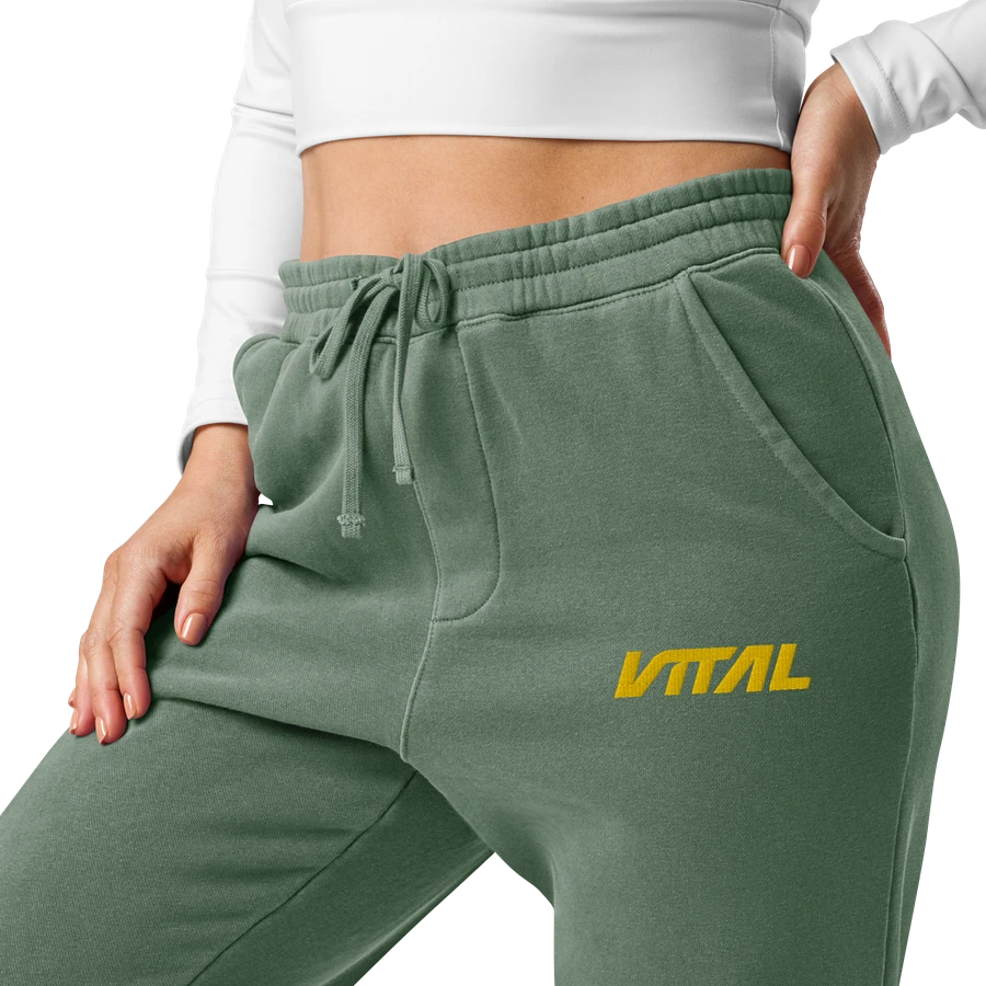 Vital Jogger