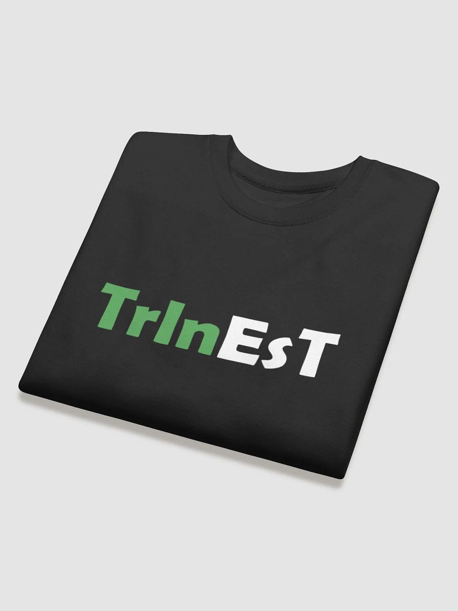 Logo Jumper product image (4)