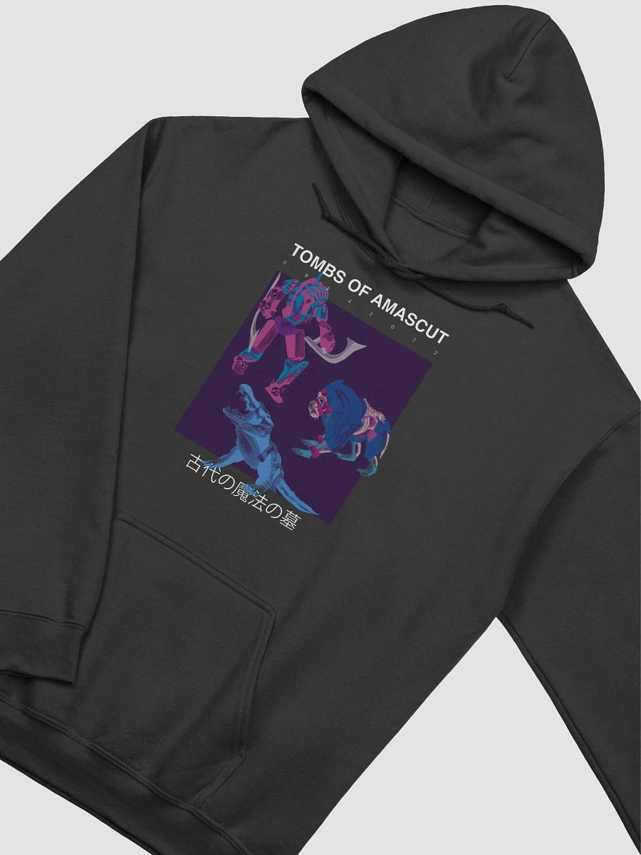 TOA Hoodie product image (3)