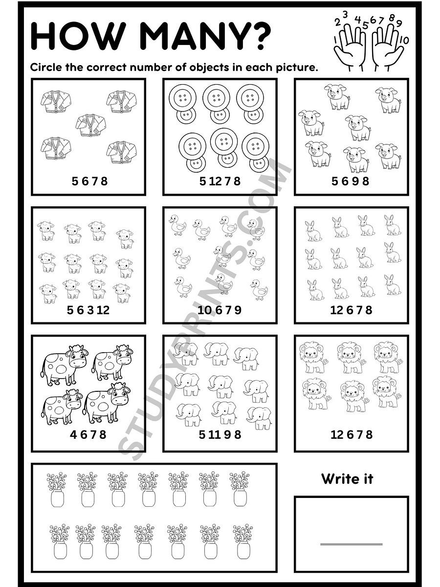 kindergarten math worksheets how many product image (3)
