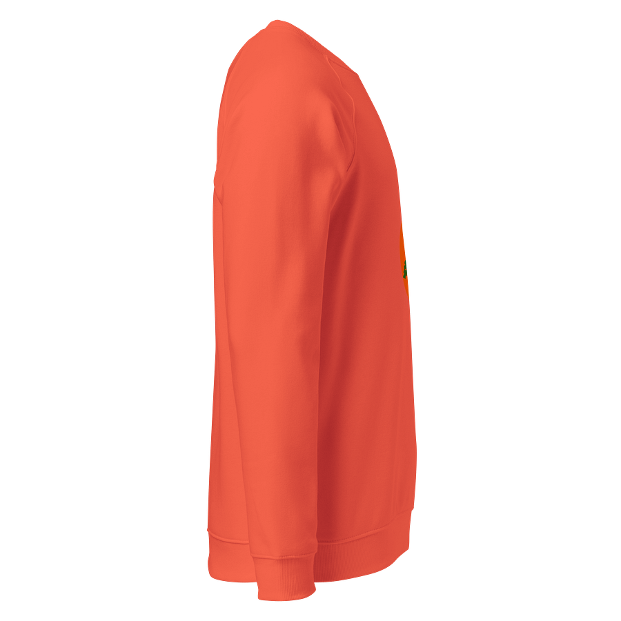 Vibrant Sunset Tree Organic Raglan Sweatshirt product image (4)