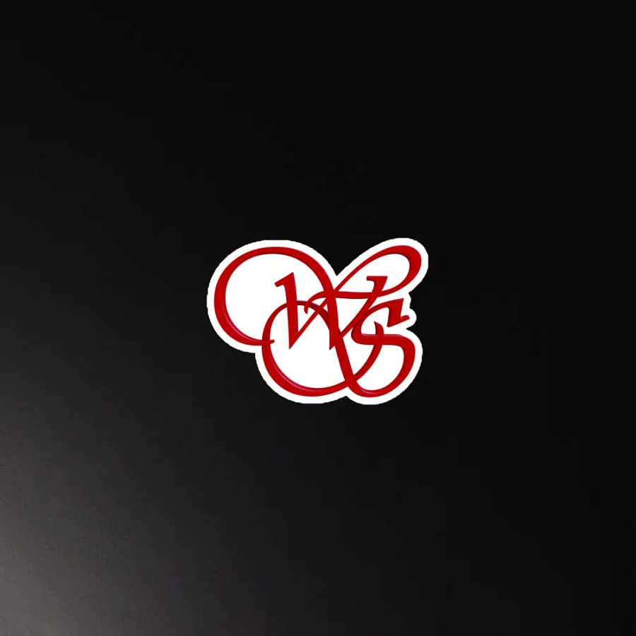 WS 4