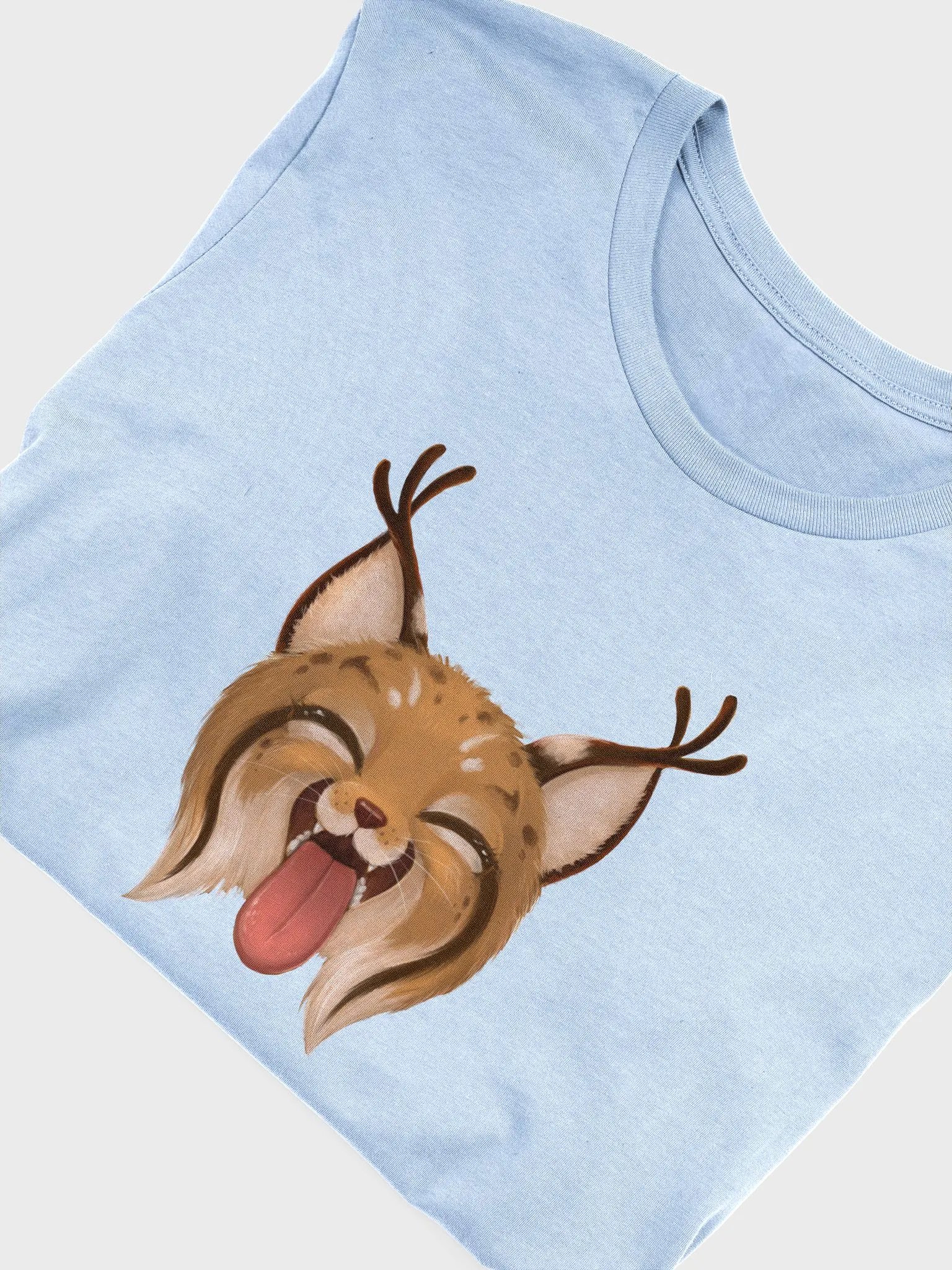 Bella+Canvas Supersoft LICK T-Shirt product image (56)
