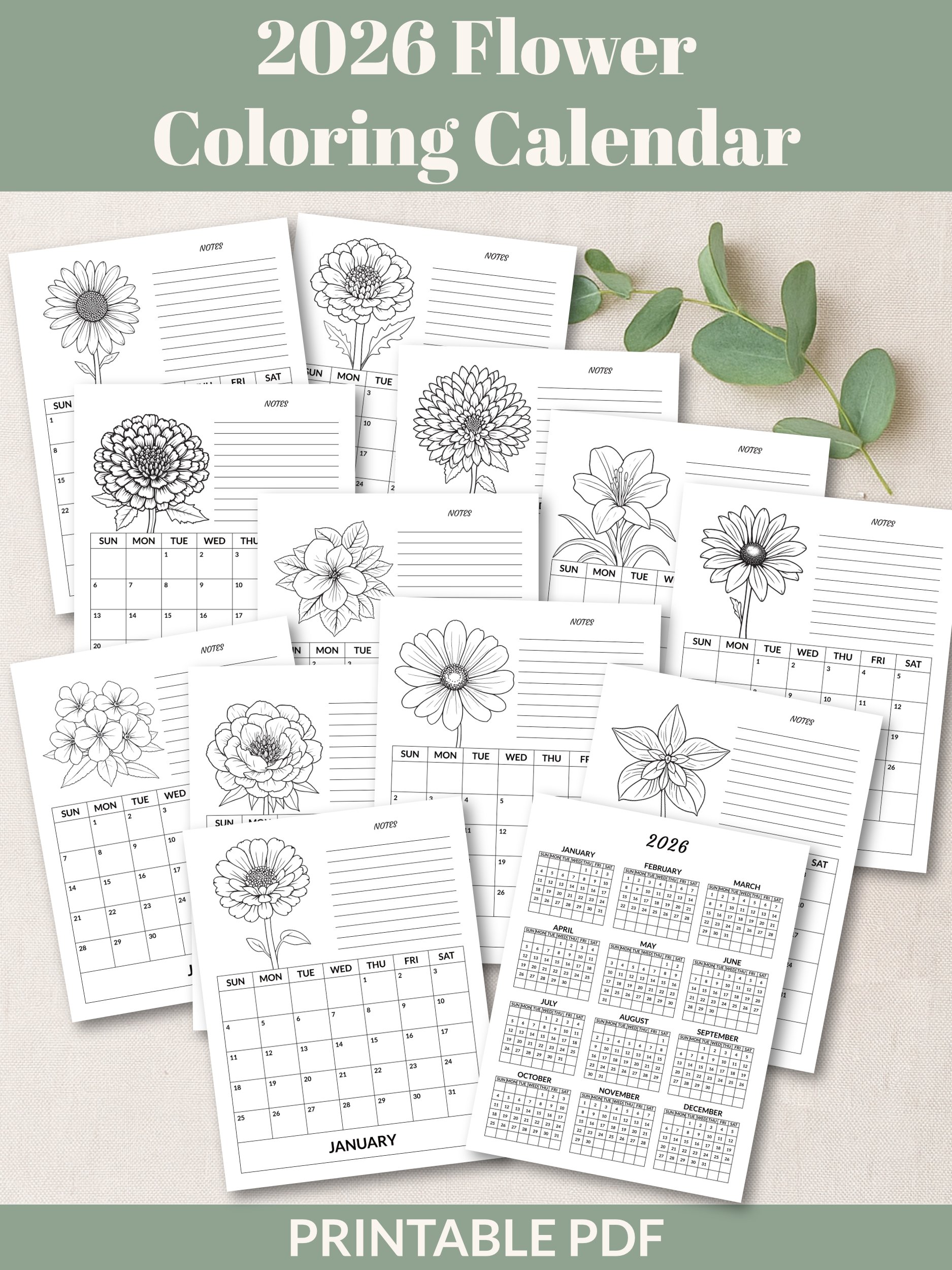Printable 2026 Flower Coloring Calendar product image (4)