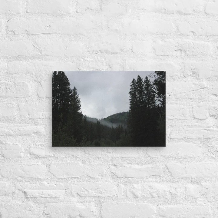 Though the Tree Line - Canvas product image (7)