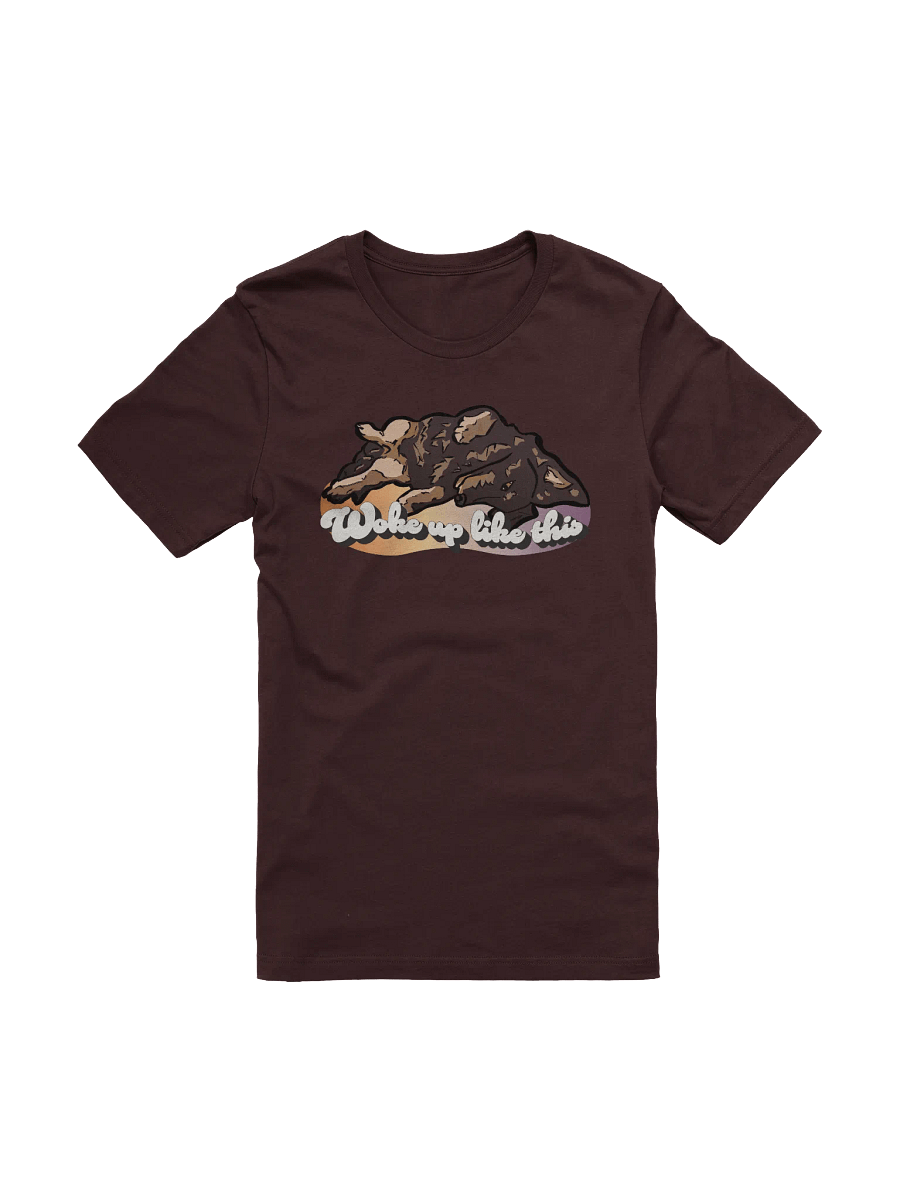 Woke Up Like Longboy - Soft Tee product image (1)
