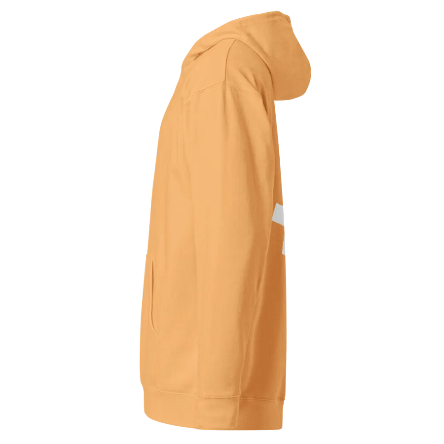Embroidered ₿itcoin Orange-Peach Hoody product image (10)