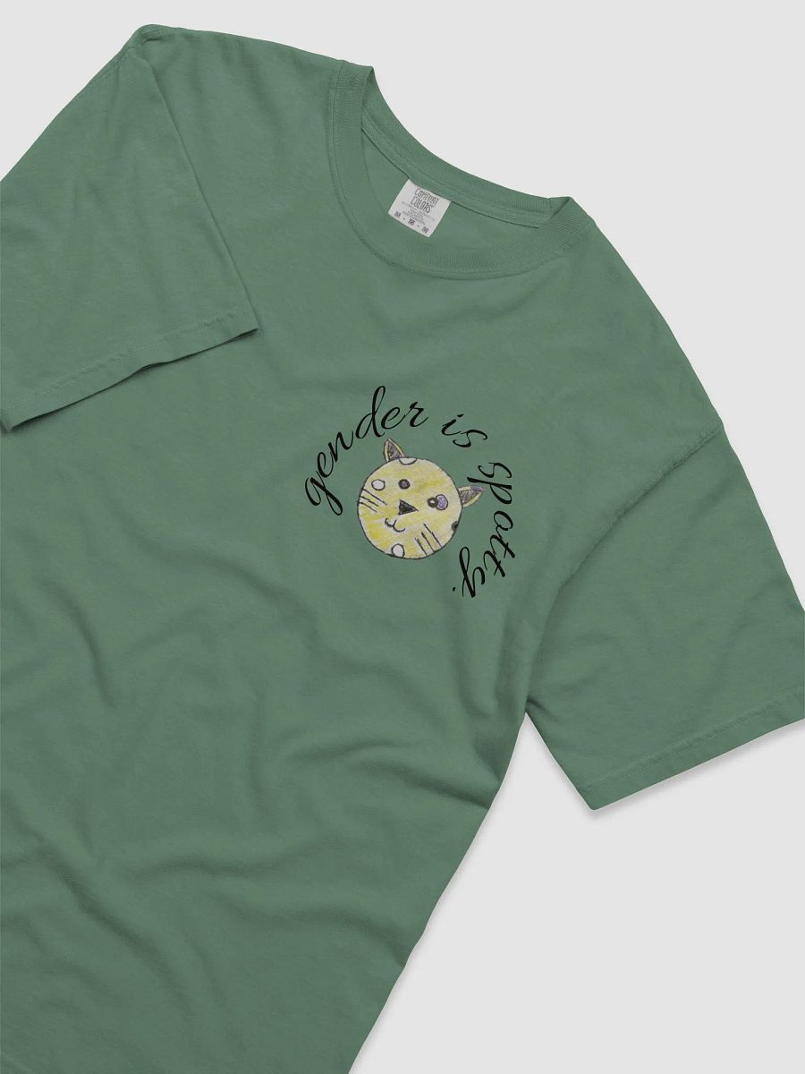 Pride Leopard T-Shirt product image (17)