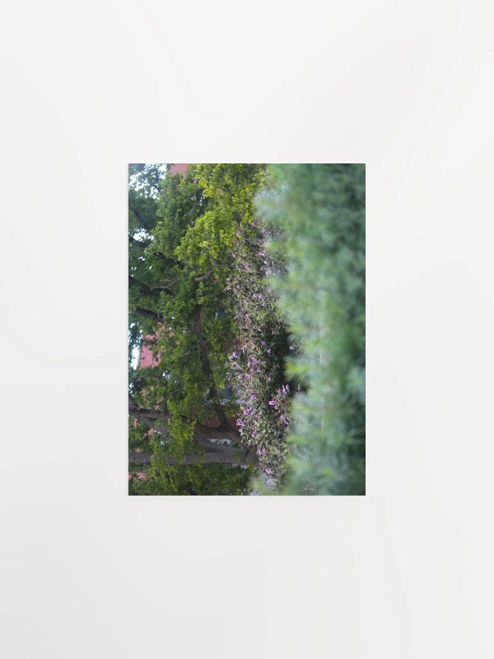 A Study in Flowers 17 product image (6)