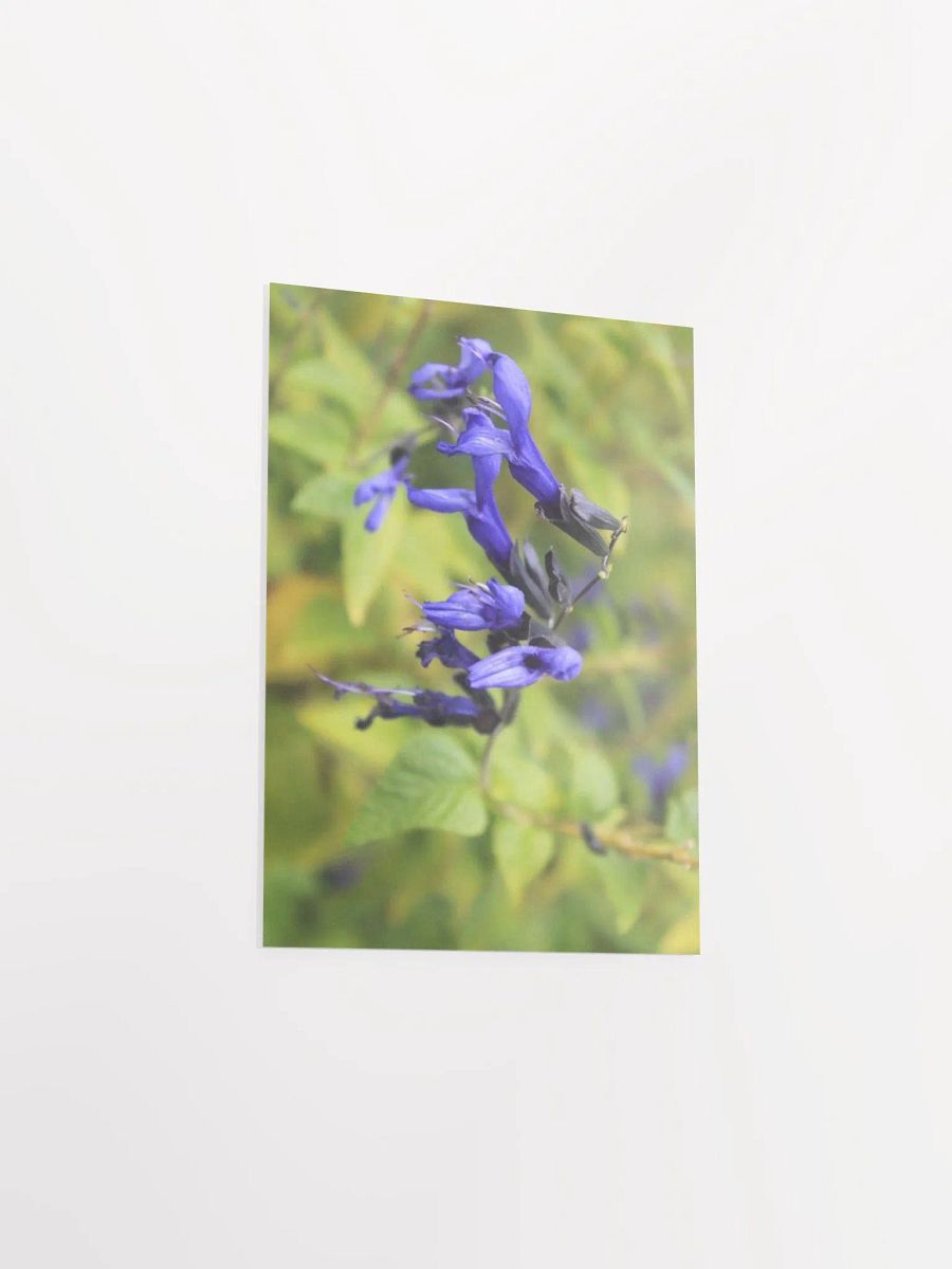 A Study in Flowers 3 product image (36)