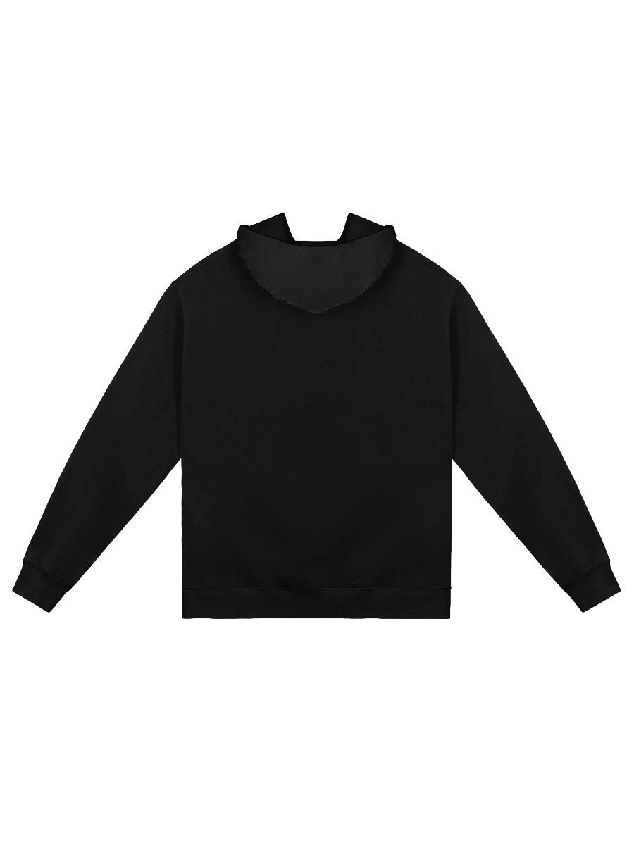 Cluckonomics 101 - Humorous Easter Black Hoodie product image (3)