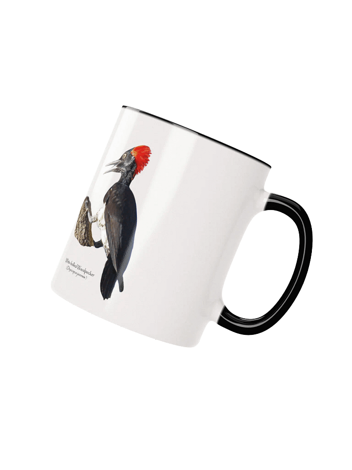 White-bellied Woodpecker mug product image (14)