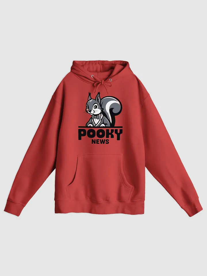 Premium, super soft Hoodie, Pooky news, grey pooky at desk/words product image (1)
