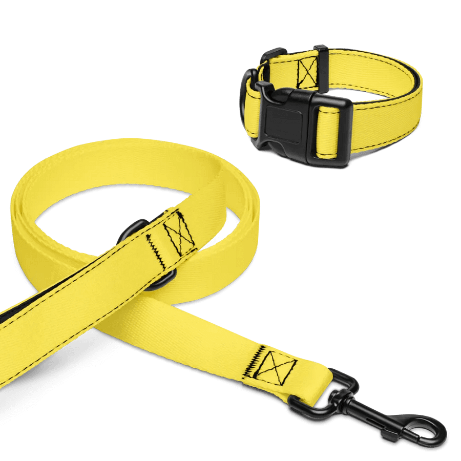 Sunrise Glow Pet Collar & Leash Set product image (16)