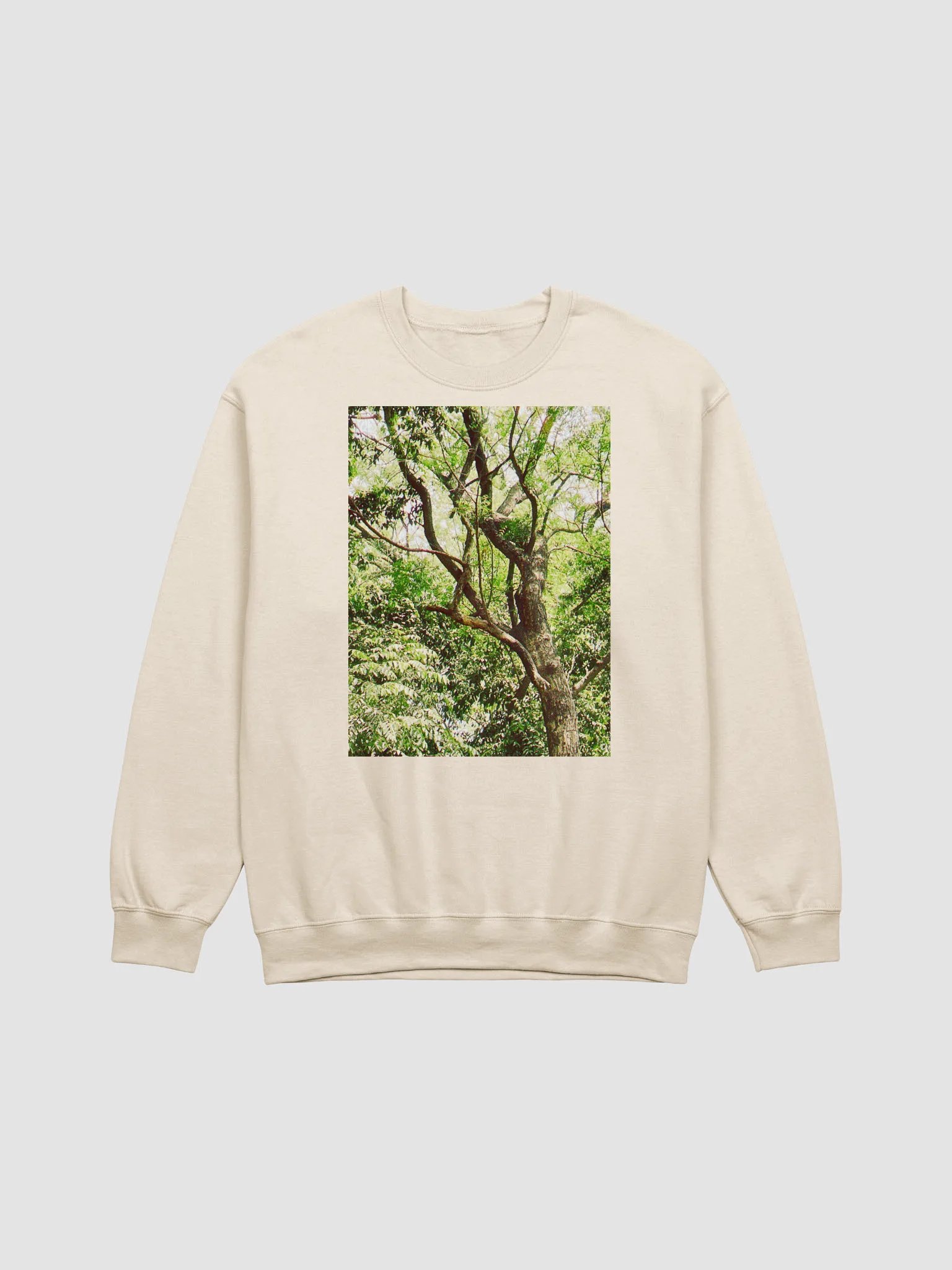 Earth tone DIVINE MUSIC sweatshirt product image (1)