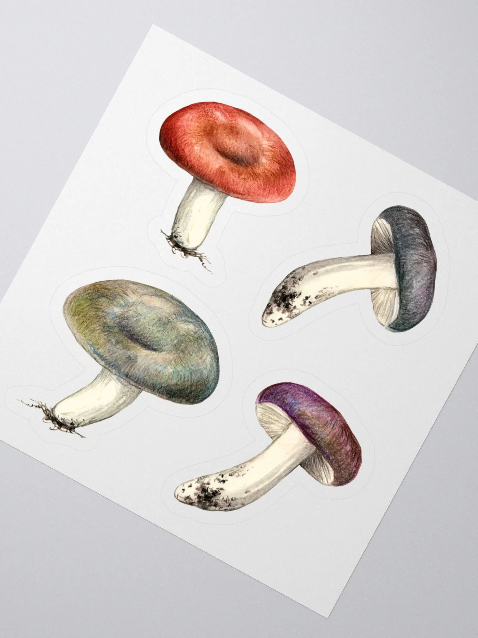 Russula mushrooms sticker product image (3)